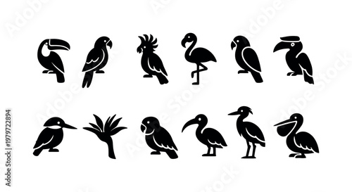 Collection of stylized black bird icons including toucan, parrot, flamingo, pelican, and more