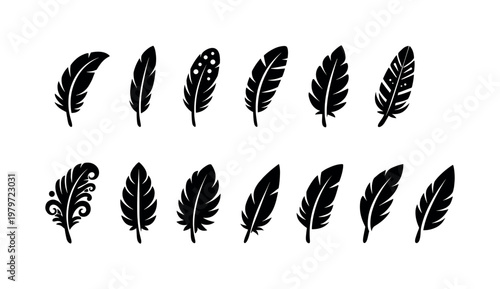 Collection of diverse black feather icons and silhouettes on a white background