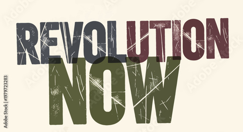 Revolution Now Protest Slogan Sign.