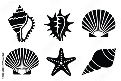 Collection of Black and White Seashell and Starfish Silhouettes