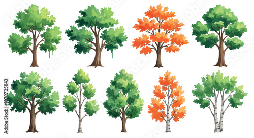Watercolor tree collection with 8 vector elements, green summer foliage and orange autumn leaves, deciduous forest tree set for landscape design