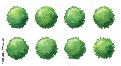 Minimalist tree line icons set, black and white nature vector symbols, 6 botanical plant silhouettes for landscape design and architectural diagrams