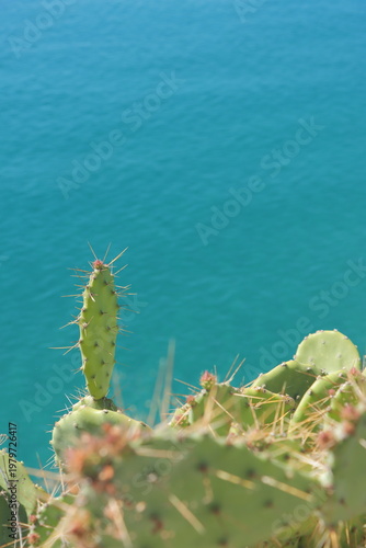 En las playas italianas llamadas 