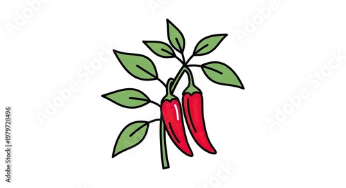 Vibrant illustration of chili peppers with leaves against a white backdrop