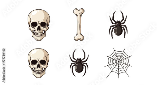 Skulls and spiders for Halloween decorations.