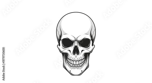Human Skull Illustration Closeup View.