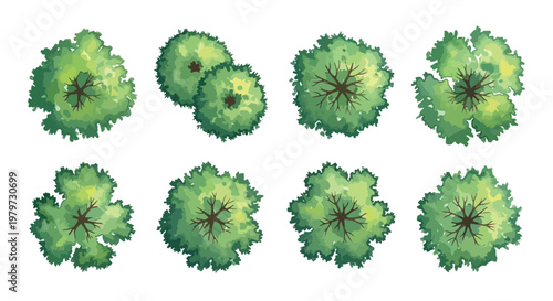 Watercolor architectural tree top view set, 8 green landscape plan symbols, aerial garden vegetation icons for site mapping and masterplan design