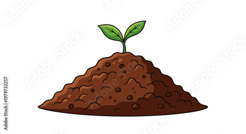 Small green plant growing in soil.