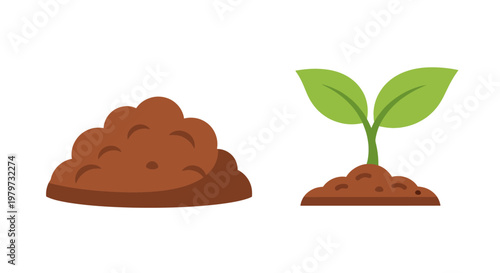 Brown soil and green seedling growing.