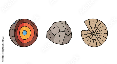 Fossil Ammonite Shells and Geode Stones.