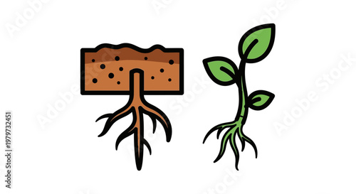 Plant Seedling Growing Roots Soil.