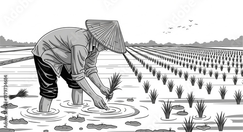 Man working in rice field agriculture.