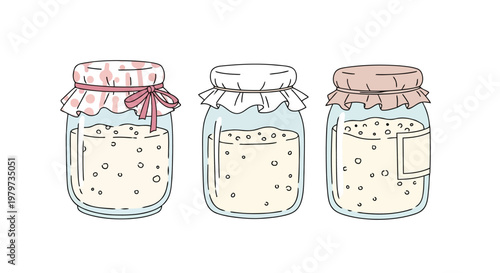 Kombucha SCOBY starter kits in glass jars with fabric covers on clean white background