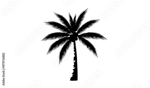 Coconut tree vector realistic tropical palm plant illustration isolated