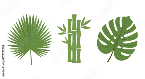 Tropical leaves and bamboo plant.