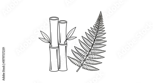 Bamboo and fern plant illustration.
