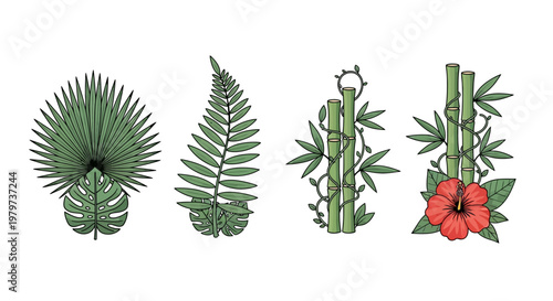 Variety of Tropical Green Plants.