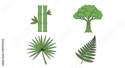 Different types of green tree leaves.