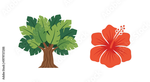 Tree and orange hibiscus flower.