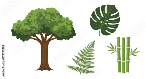 Tree and Leaves Illustration Set.