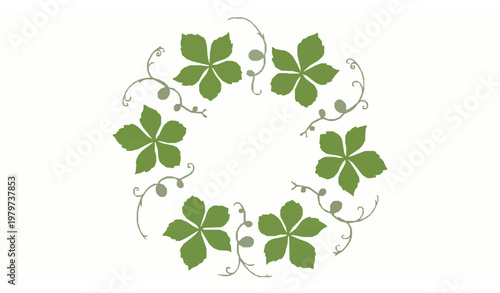 Decorative Virginia Creeper Vine and Leaf Botanical Collection in Flat Green Vector Style