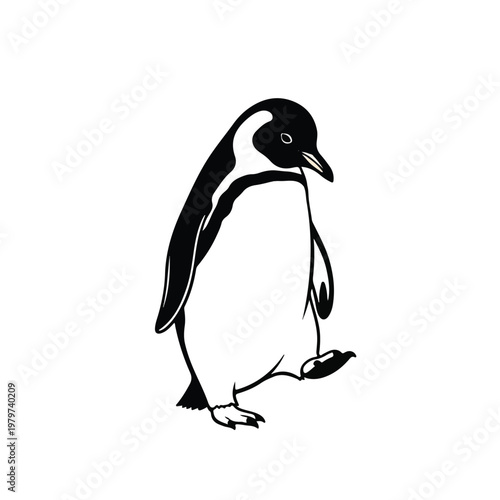 Penguin standing on white background.