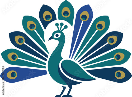 Majestic peacock fanning tail feathers in blue and green vector can Editable