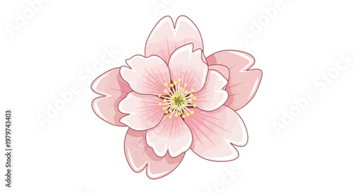 Beautiful Pink Flower Closeup View.