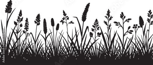 Black Silhouette of Grass and Plants on White