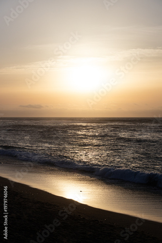 Pays Basque en Avcril, Saint Jean de Luz, plage d'Erromardie