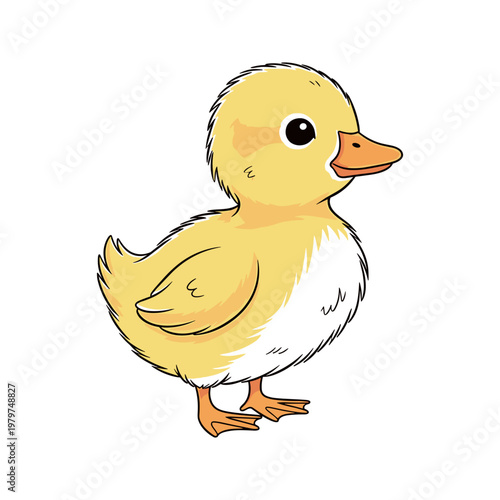 Cute little yellow baby duckling standing.