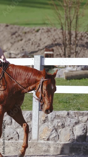 Western horse riding around the arena in slow motion