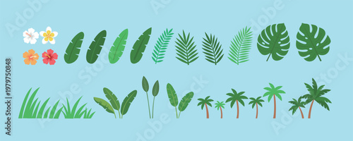 Tropical Summer Leaves and Flowers Vector Illustration Set - Monstera, Palm, Hibiscus, and Plumeria