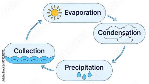 Water Cycle Process Diagram