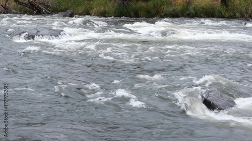 Mountain river, turbulent flow of water rolling over rocks, close-up video
