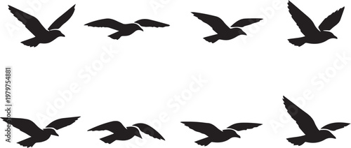 Birds in Flight Silhouettes Vector, illustration