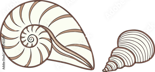 Isolated spiral nautilus shell on white background, an ancient mollusk fossil showing a macro marine nature object with a stone texture resembling a geometric sea snail or ammonite rock