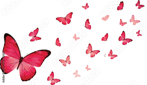Pink butterfly swarm forming heart shape with flying butterflies, romantic love concept illustration for Valentine design, wedding decoration and spring nature theme