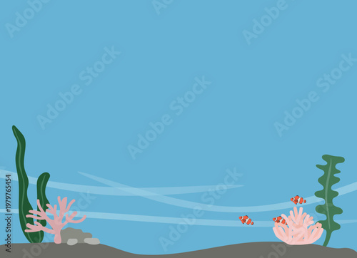 海藻やサンゴのある海底