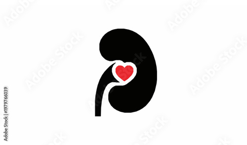 Minimal kidney donation symbol vector illustration organ transplant icon