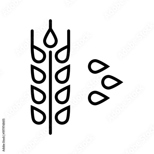 Malt grain icon. Food and brewing ingredient line symbol. Black and white.