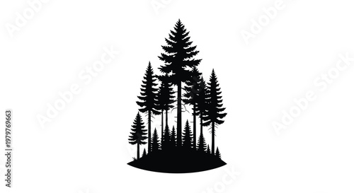 A dark forest of evergreen trees depicted in stark silhouette