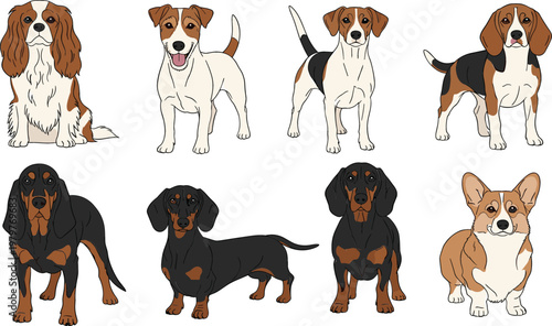 Dog Breed Illustration Set Featuring Beagle Dachshund Rottweiler and Corgi with Cute Pet Characters for Animal Collection and Veterinary Design