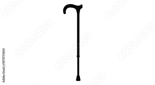 A black walking cane stands isolated against a white background silhouette