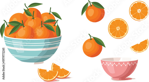 Fresh oranges in bowl with slices and whole fruits, citrus collection with leaves, healthy juicy food concept vector illustration
