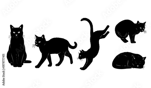 Cat Silhouette Collection – Pet Animal Black Vector Set