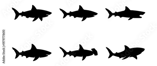 Shark silhouette collection, 6 predator fish icons, black hammerhead and great white vector