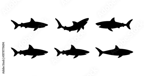 Shark silhouette collection, 6 black predator icons, marine life vector set for logos