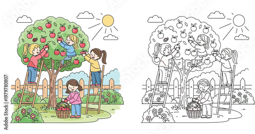 Children picking apples from tree coloring page. Cute girls harvesting autumn fruit on ladders. Vector illustration color and black outline.