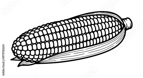 Corn on the cob, black and white line art vector, isolated fresh vegetable illustration